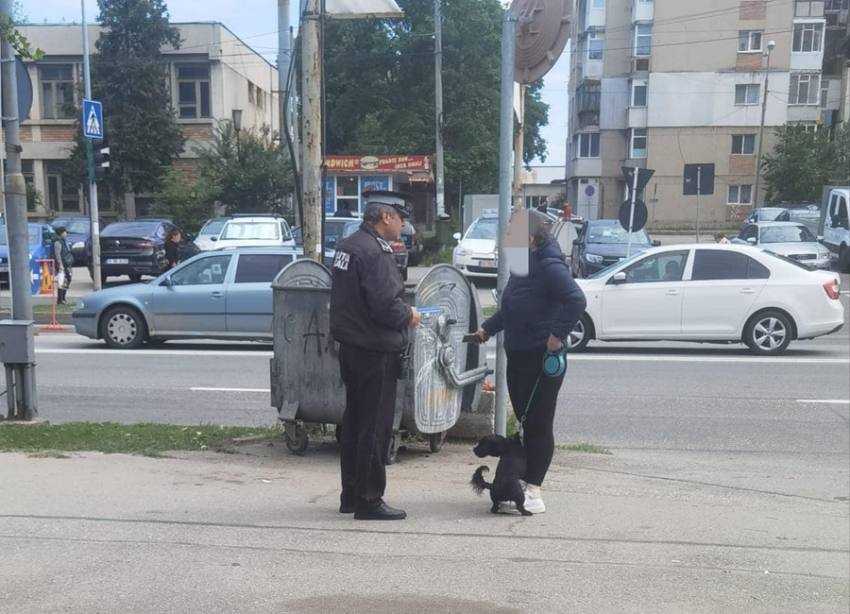 animale strada pitesti Sursă foto: Facebook Primăria M;Unicipiului Pitesti