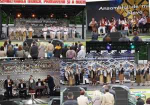 Sursă foto: Facebook Centrul Cultural Mioveni.