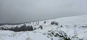 71e81bef c32c 41f4 896e 482541be7ddf - Peisaj de iarnă la jumătatea lunii mai! A nins pe Transalpina
