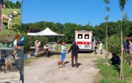 Sursă foto: Servicii Edilitare pentru Comunitate Mioveni.