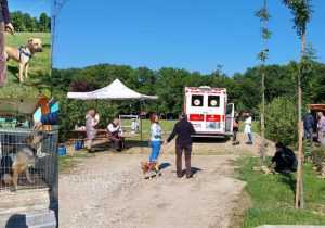 Sursă foto: Servicii Edilitare pentru Comunitate Mioveni.