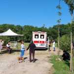 Sursă foto: Servicii Edilitare pentru Comunitate Mioveni.
