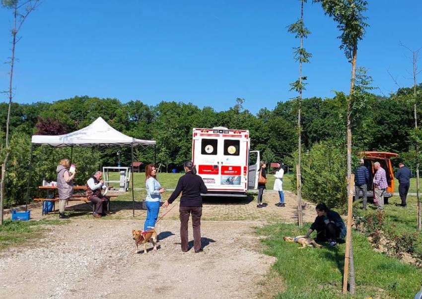 Sursă foto: Servicii Edilitare pentru Comunitate Mioveni.