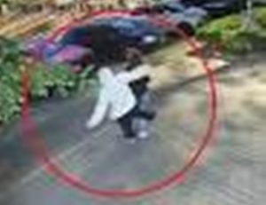 descarcare - Un tânăr de 25 de ani a ajuns după gratii, după ce a atacat din senin o femeie pe stradă