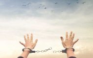 libertate proiect