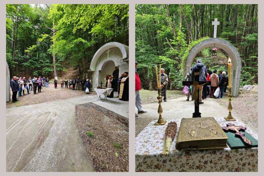 Nicolae Velcea slujba