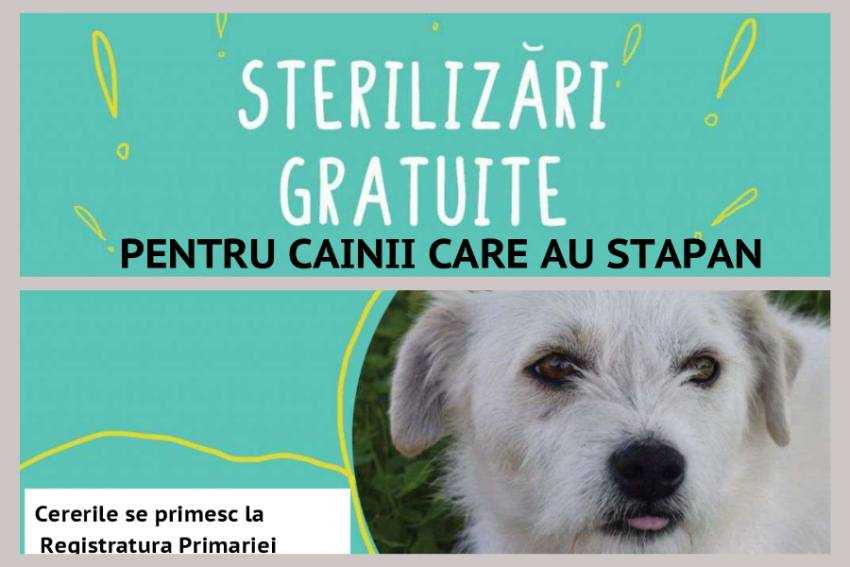 Campanie la Topoloveni