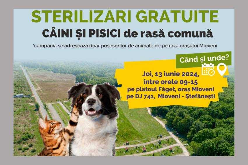 sterilizari Mioveni sterilizari Mioveni