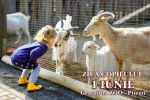 Atenție, părinți! De 1 iunie intrarea este gratuită la Grădina Zoologică din Pitești! 14 Sursă foto: Facebook Primăria Municipiului Pitești.