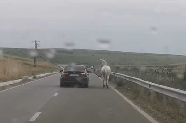 ed23f4a1-cdc6-4e5e-801e-78bce6c62052