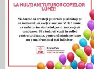 Sursă foto: Ovidiu Puiu PSD