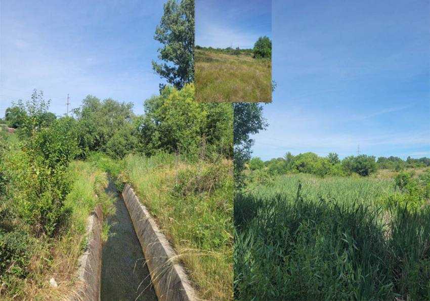 Sursă foto: Facebook Cristian Gentea.