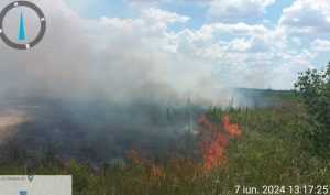 Două incendii de vegetație uscată acum în Argeș! Aproximativ 3.000 mp afectați 1 incendiu vegetație Argeș