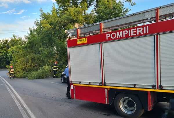 8c9353d4-d3a2-4d63-928b-59982a0b6d30