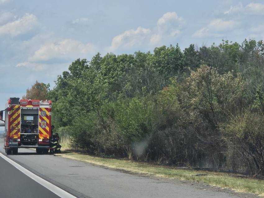 incendiu vegetatie A1 incendiu vegetatie A1