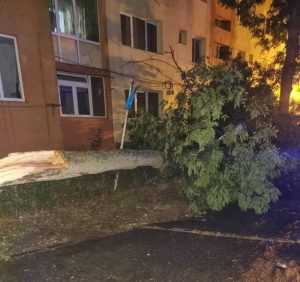 be8ecce2 d5f1 4f59 8aa8 adcb6caea127 - (VIDEO) Vremea rea face ravagii în Argeș