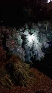 d73aa893 c94d 422e ae1b 25720321b0c1 - (VIDEO) Vremea rea face ravagii în Argeș