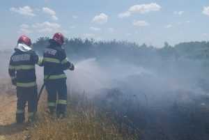 2dc55268 9aa0 4667 8f4e 131a5fdbaaa7 - Incendiu de vegetație la Rociu! Pericol de propagare la locuințe