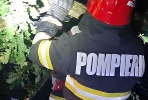 70648a6e-9880-493b-8a3e-dcdd0ca95b80