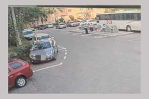 persoane amendate Trivale