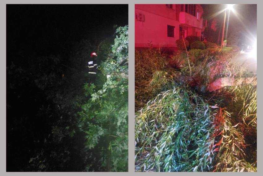 interventie pompieri pomi