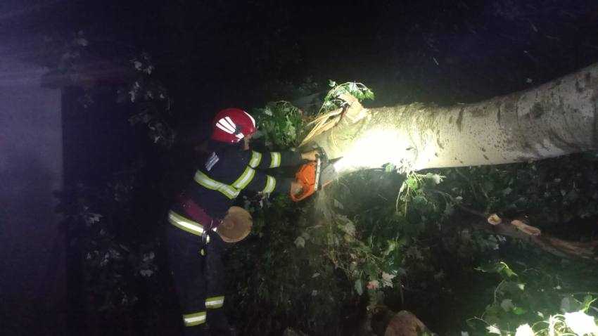 interventie pompieri pomi