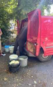 Brânză și ouă vândute direct din dubă! Polițiștii au împărțit amenzi 3 9bad4639 48f9 4b48 a0d4 1f3af5f98185 - Brânză și ouă vândute direct din dubă! Polițiștii au împărțit amenzi