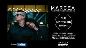 448026579 978091224321054 1625622144337403096 n - The Kryptonite Sparks urcă vineri pe scena din vie, de lângă Crama Marcea