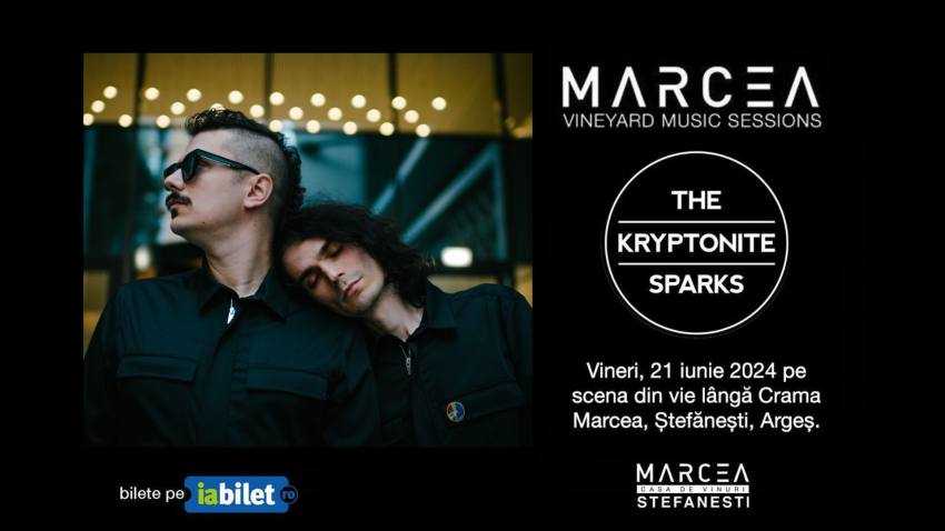 448026579_978091224321054_1625622144337403096_n