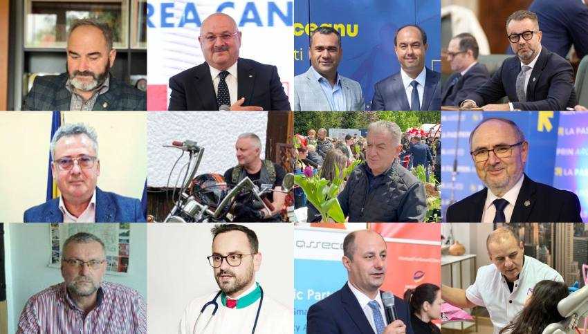 declaratii avere alesi arges