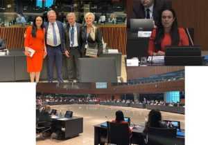 Sursă foto:Facebook MMSS.