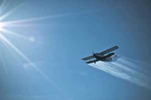 Ștefănești dezinsecție