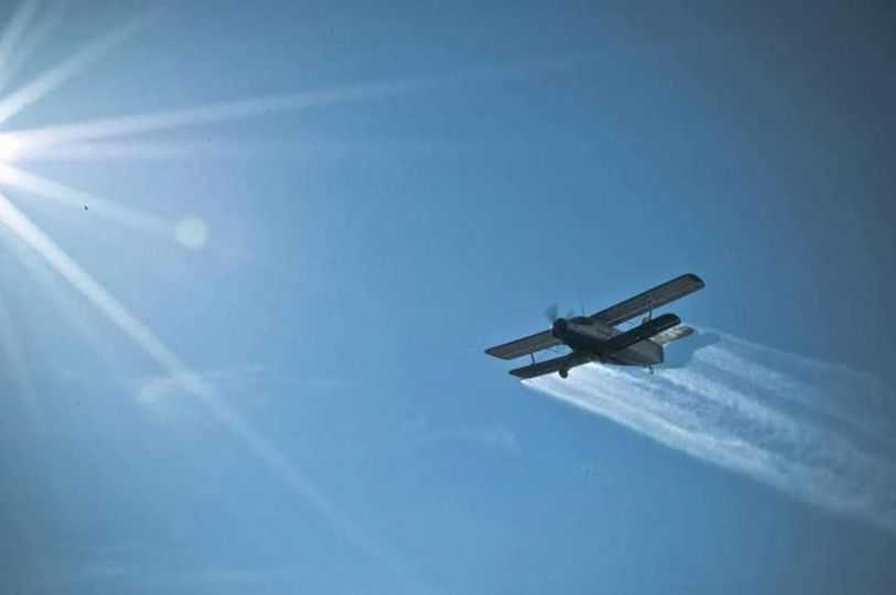 Ștefănești dezinsecție Ștefănești dezinsecție