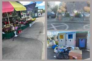 controale politia locala Pitești