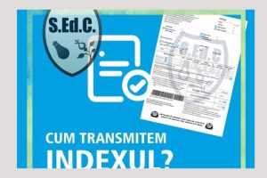 SEdC Mioveni: „Cum transmitem indexul?” 1 sedc Mioveni