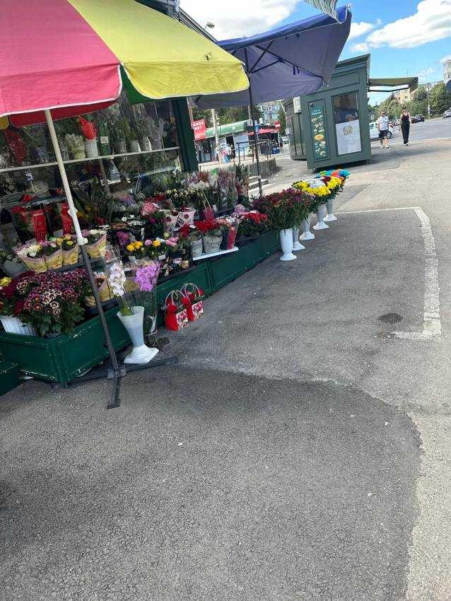 controale politia locala Pitești