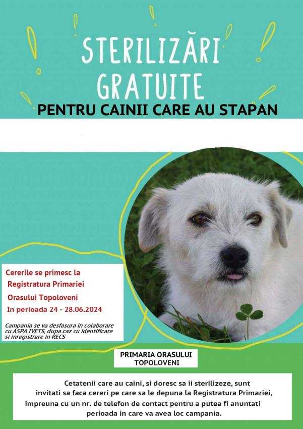 448867402 450812287585805 1209420034330413053 n - Sterilizări gratuite pentru câinii care au stăpân la Topoloveni