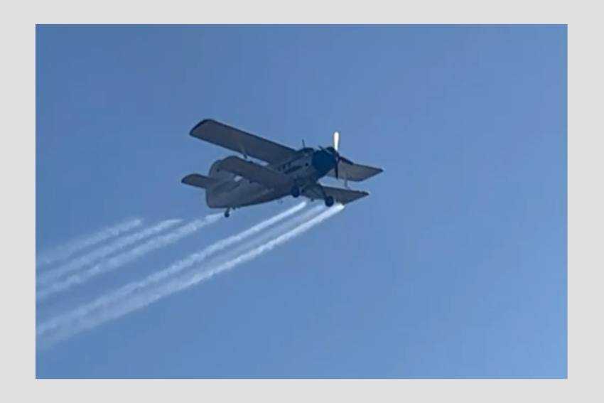 Tratamente antiinsecte cu avion Tratamente antiinsecte cu avion