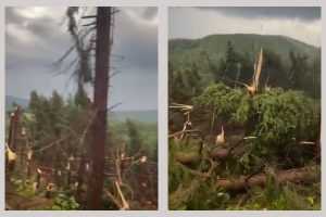 padure distrusa vreme rea