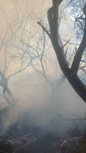 a6b19b25 4cba 4c14 b14b ad39c9b6f859 - Incendiu puternic într-o gospodărie din Albota! Bărbat transportat la spital cu arsuri