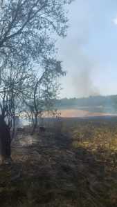 acd9a0e9 6a53 4545 bf8a acba43bf4019 - Incendiu puternic într-o gospodărie din Albota! Bărbat transportat la spital cu arsuri