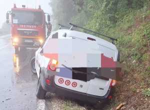 cf8df8d1 a12e 4853 8552 2b80c9578fbb - Valea Mare Pravăț. Un copac a căzut în fața unei mașini aflată în mers