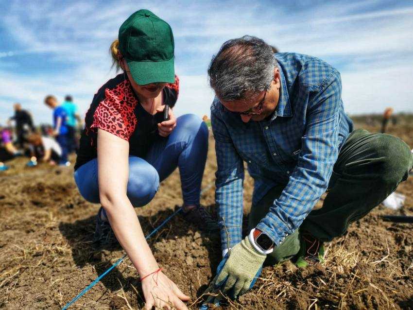 Colegiul Ecologic "Prof. Univ. Dr. Alexandru Ionescu": O oază de educație de calitate și implicare comunitară în inima Piteștiului 1 Colegiul Ecologic