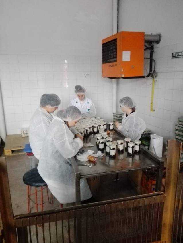 Liceul Tehnologic Topoloveni formează tineri pentru piața muncii cu specializările Mecanică, Alimentație Publică și Turism și Industria alimentară 9 Sonimpex Magiun de Topoloveni - Liceul Tehnologic Topoloveni formează tineri pentru piața muncii cu specializările Mecanică, Alimentație Publică și Turism și Industria alimentară