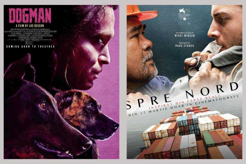 filme Pitești filme Pitești