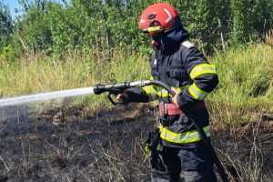 eb191e1f 9d30 4559 96ce 2cb8384b1ed7 1 - ACUM! Incendiu de vegetație în Topoloveni. Pericol de propagare