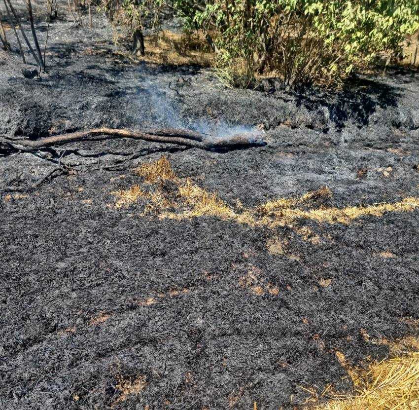ACUM! Trei incendii de vegetație în Argeș! 3 350a13c9 a237 4a25 ae32 f56795d83d37 - ACUM! Trei incendii de vegetație în Argeș!