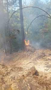 ACUM! Trei incendii de vegetație în Argeș! 1 3ec2b706 5640 46da 8e2d 33597a2281e7 - ACUM! Trei incendii de vegetație în Argeș!