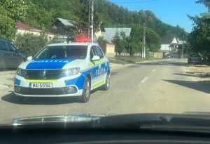 82412486 1b89 47f5 b62d 2271690dc0c8 - Intervenție a polițiștilor într-o gospodărie din Budeasa! O femeie este agresivă cu membrii familiei