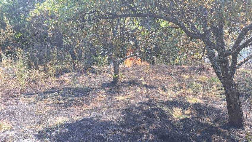 incendiu vegetatie Argeș incendiu vegetatie Argeș